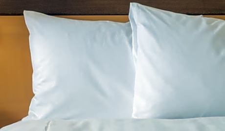 1 King Bed Stndrd Mobil Access Roll Shwr
