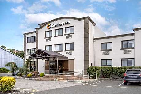 Comfort Inn Edgewater