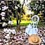 Villa La Dogana - B&B with a lovely garden - Private parking - Slow living in an old-fashioned historical home