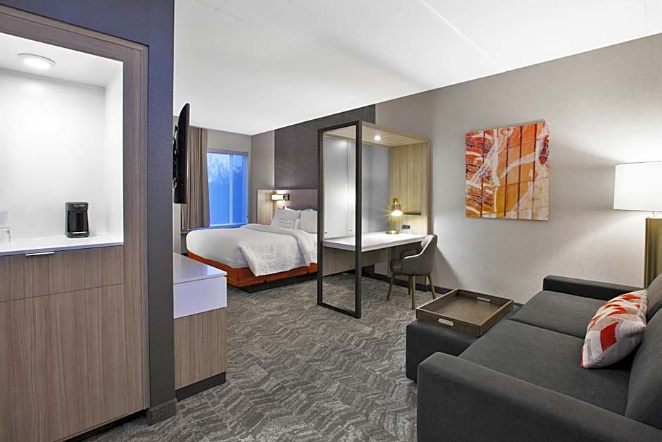SpringHill Suites by Marriott Chattanooga North/Ooltewah