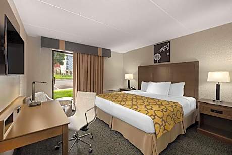 1 King Bed, Luxury Suite, Non-Smoking