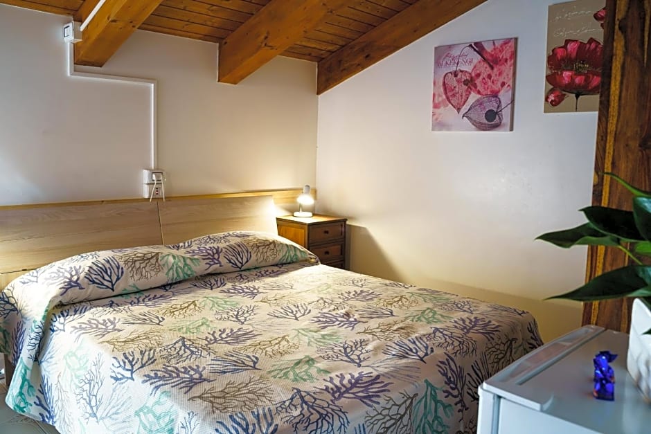 Sansi´s Sapri Camere