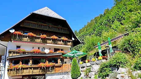 Hotel Silberfelsen