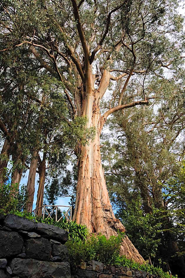 BIO Hotel - Hotel Quinta da Serra