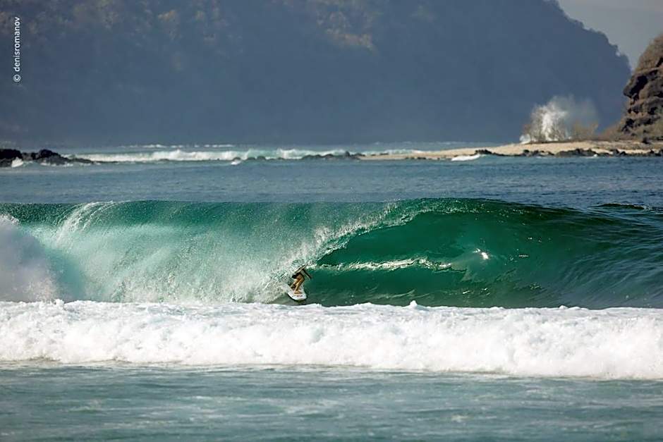 Whales and Waves