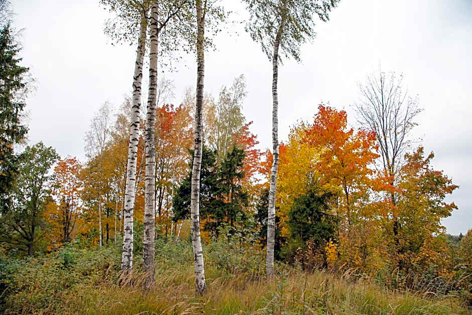 Weavers' Guest House Kalndaki