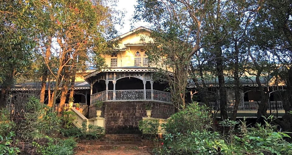 Dune Barr House - Verandah in the Forest