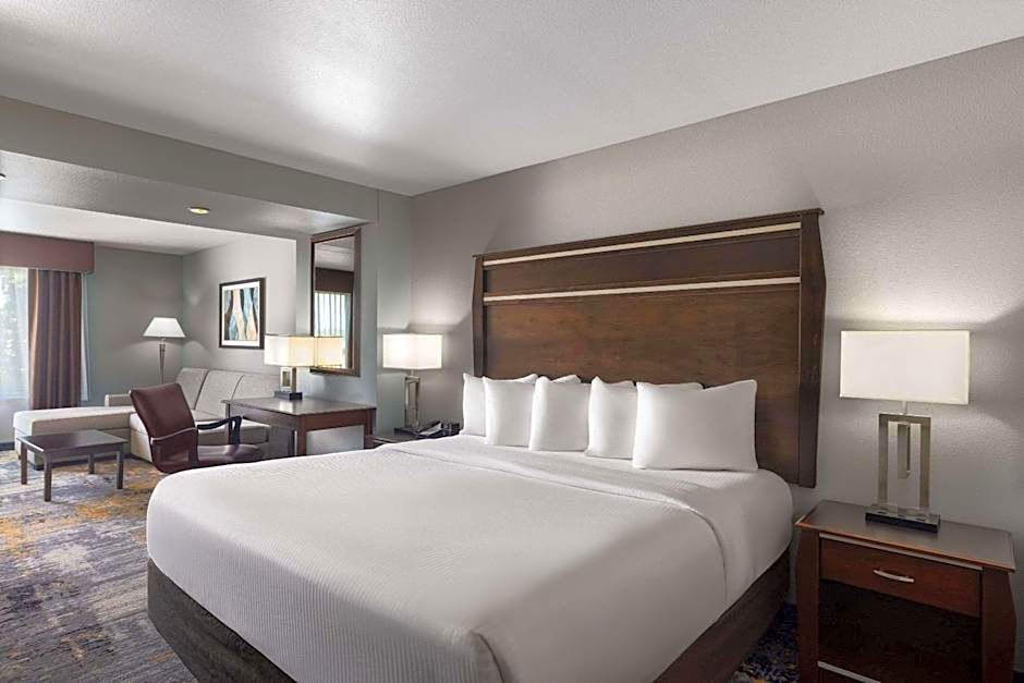 Photo 1 of 1 of Deluxe 1 King Bed Suite, City View