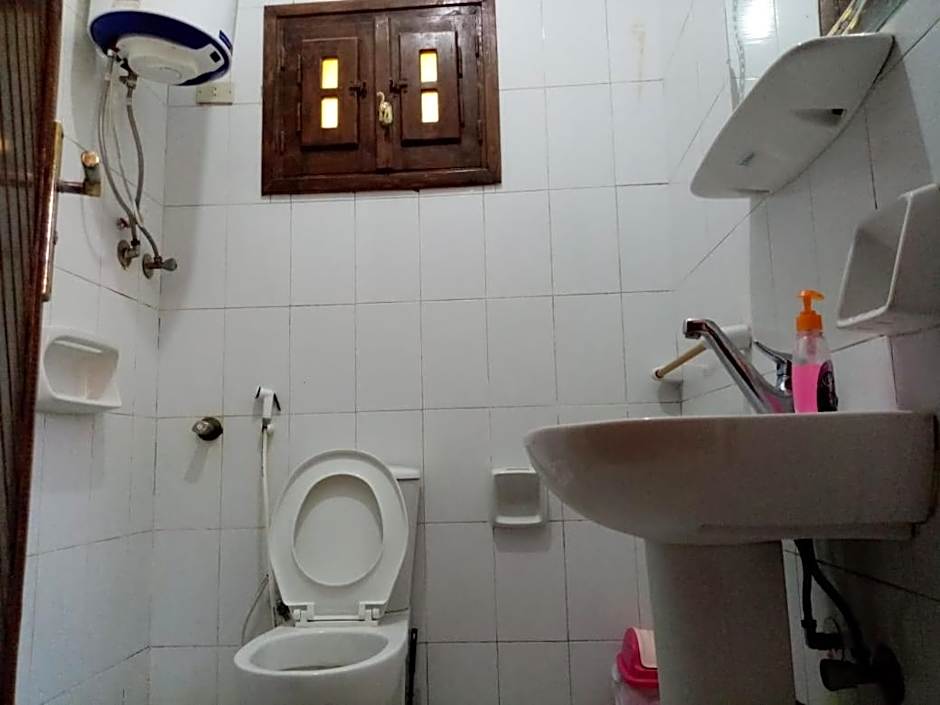 Oasis Fighting Kangaroo