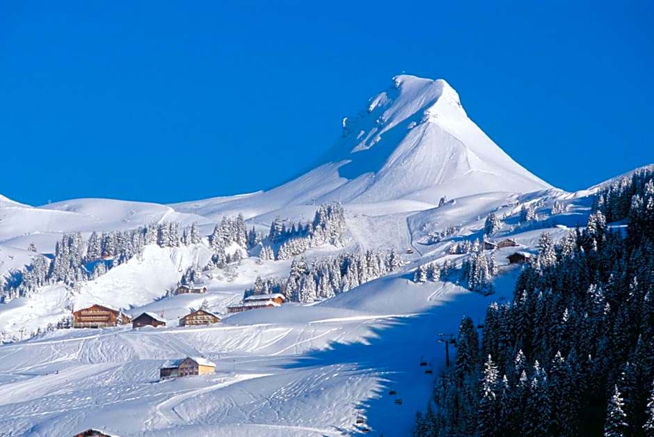 Hotel Walisgaden superior