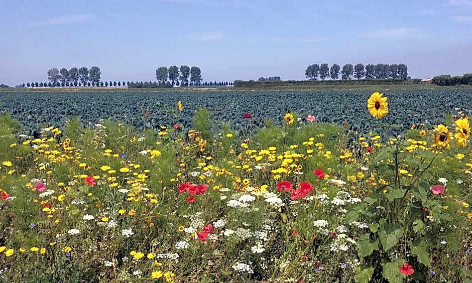 Bed en Breakfast en Bike