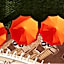 Palazzo Manzi Terme & Spa