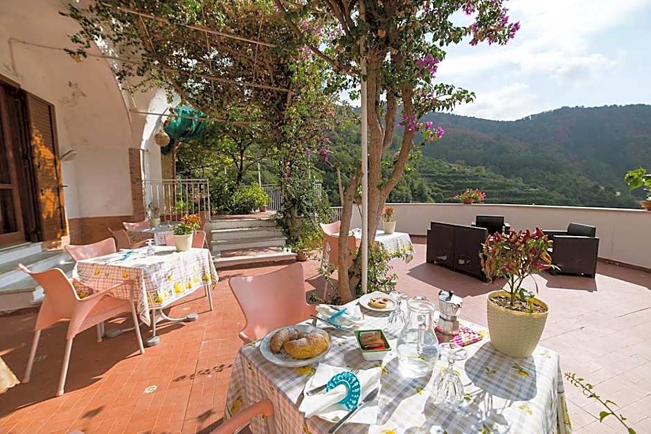 B&B Bouganville