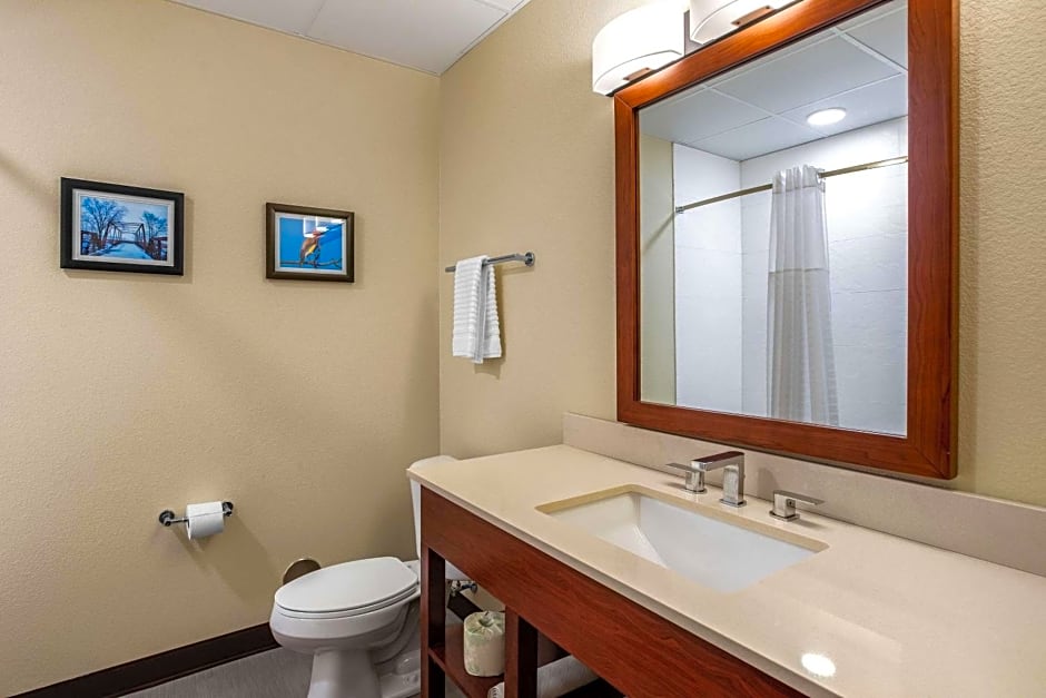 Comfort Inn and Suites Ames near ISU Campus