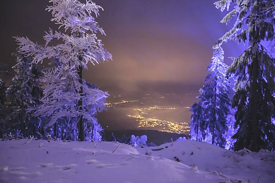 Schönblick Hohenbogen