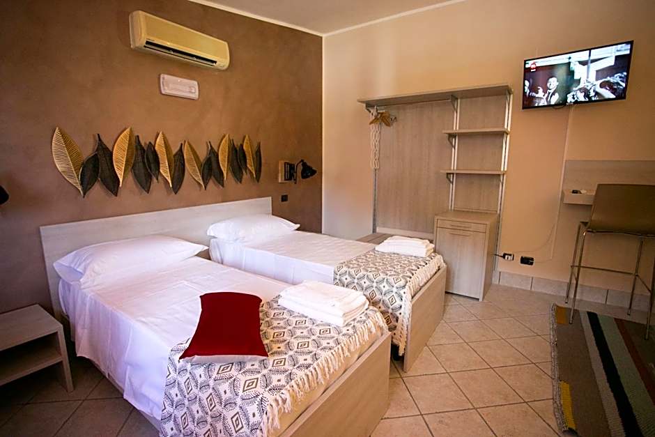 B&B Trepo