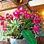 Hotel Alpenkrone
