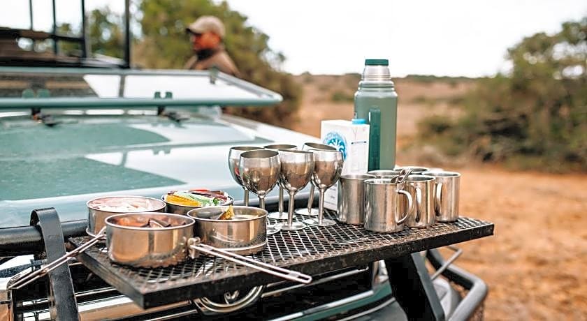 Bukela Game Lodge - Amakhala Game Reserve