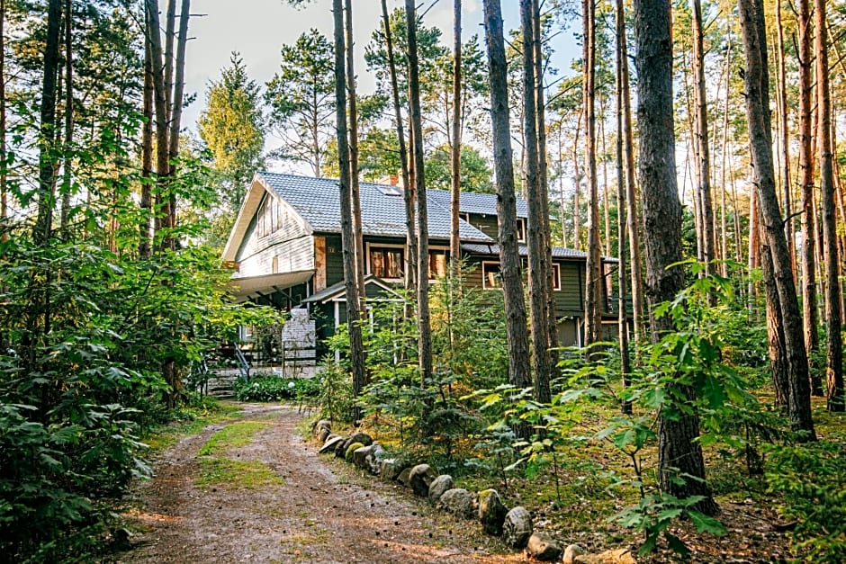 Zacisze Leśne nad Pilicą