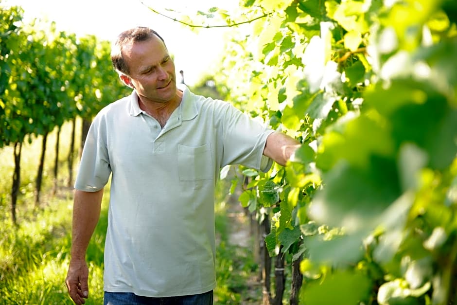 Weingut Familie Schuster