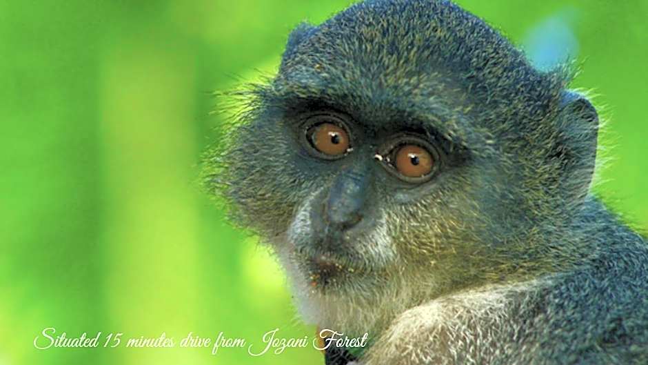 Menai Bay Beach Bungalows