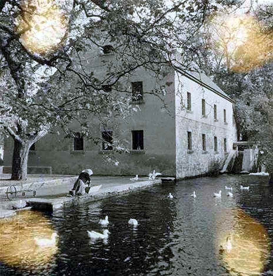 Hotel Arnold