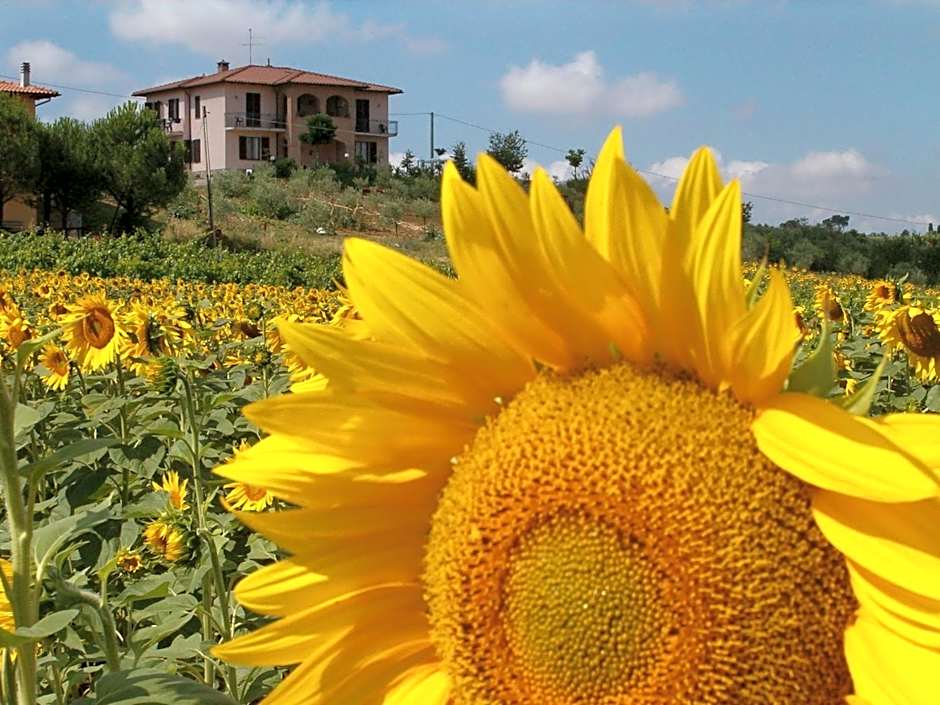 B&B Il Girasole - Rooms & House in country - air conditioned - 1500 meters from historic center
