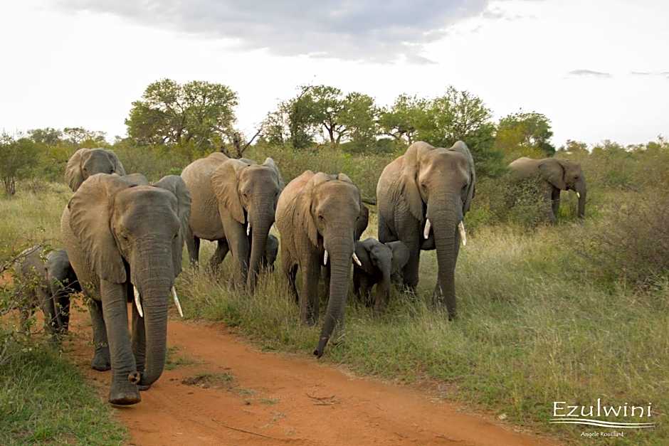 Ezulwini Game Lodges