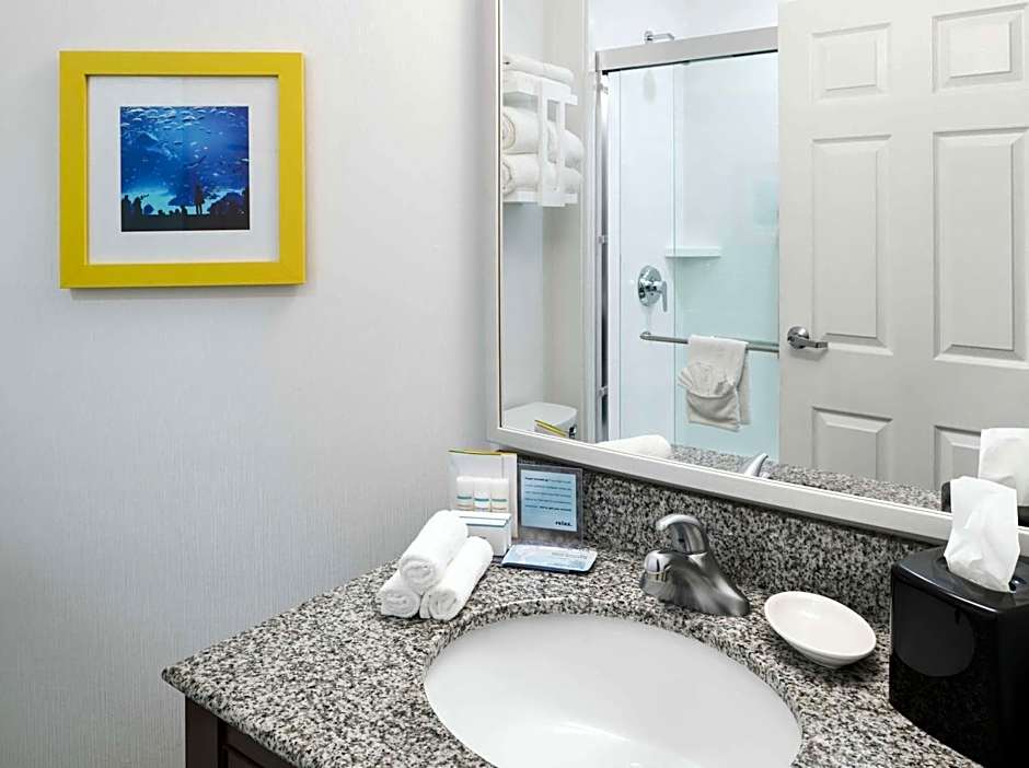 Hampton Inn By Hilton And Suites Atlanta-Downtown