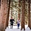 Spearfish Canyon Lodge