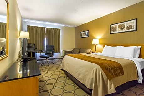 1 Queen Bed, Nonsmoking, Accessible