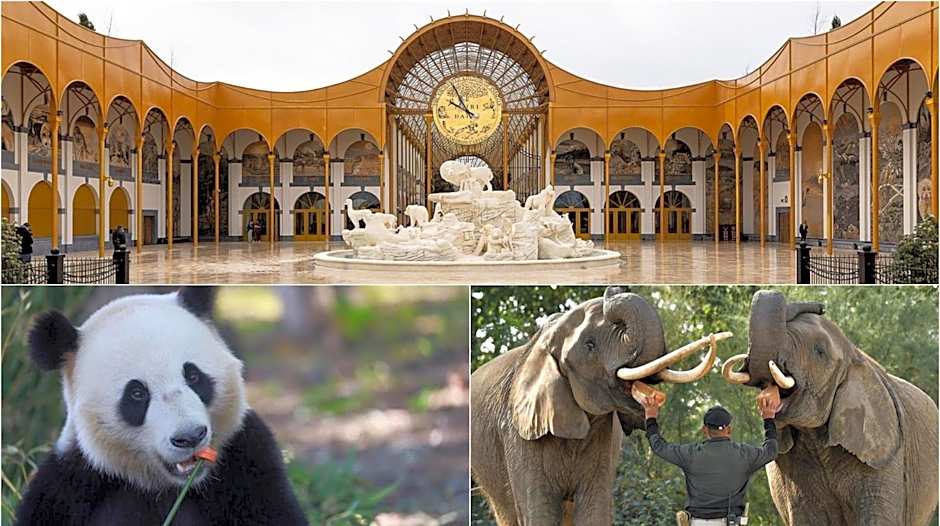 La Grenouille - Suite de luxe & Welness Privatif