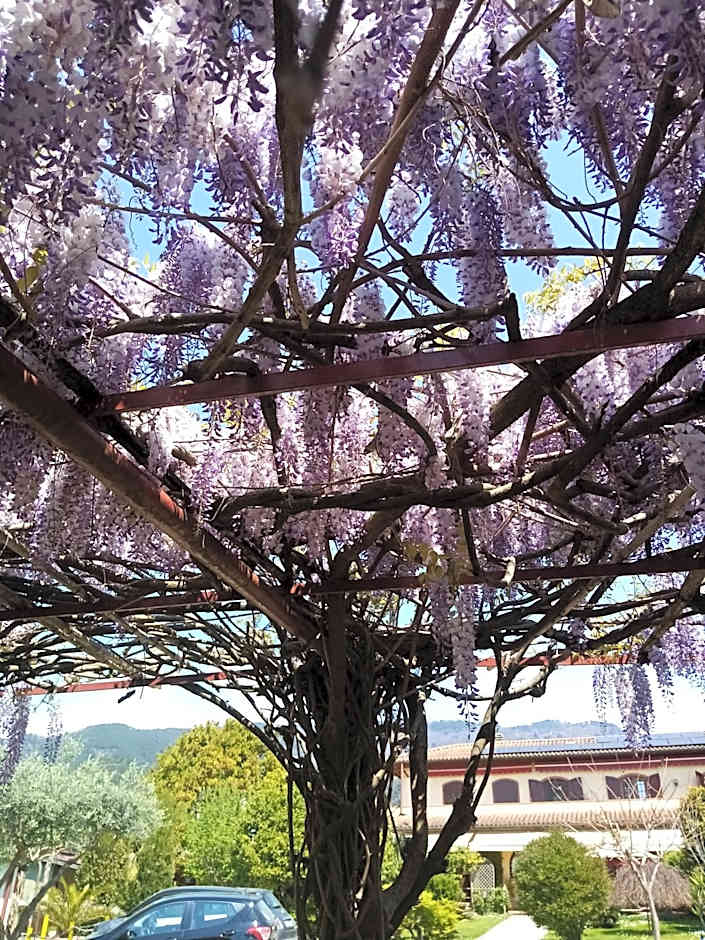 La Casa Gialla A MONTIGNOSO