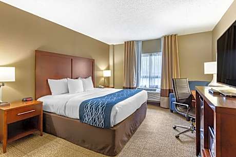 1 King Bed, Nonsmoking, Accessible