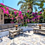 Flamingo Hotel & Spa - Pet Friendly