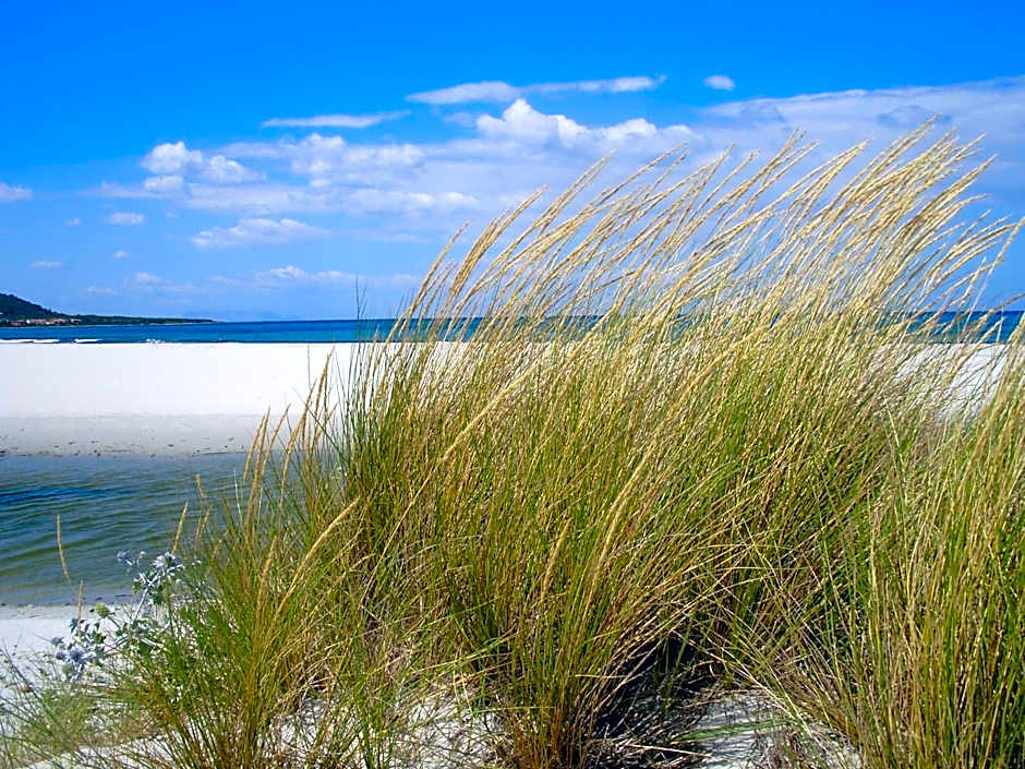 Villaggio Camping Calapineta