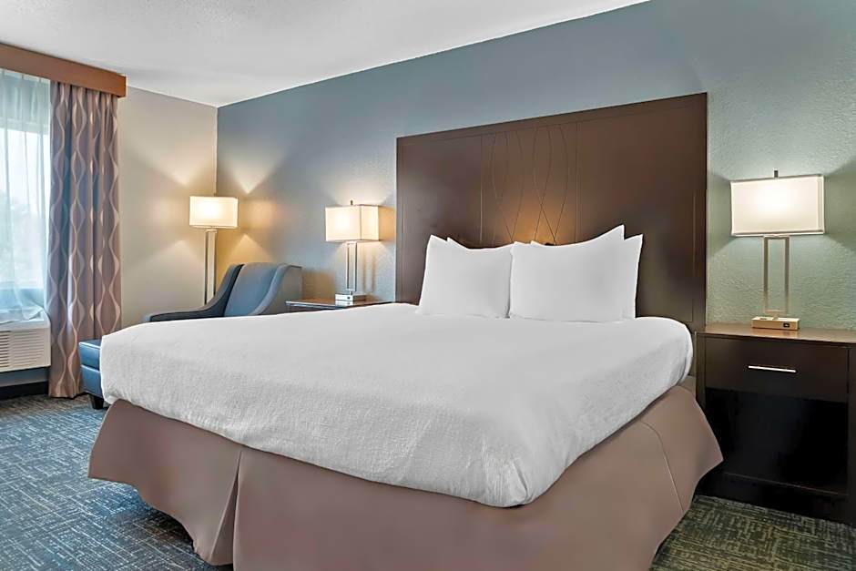 Best Western PLUS Flint Airport Inn & Suites
