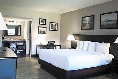 1 King Bed, Deluxe Room, Courtyard/Pool View Room, Non-Smoking