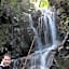 Wairua Lodge - Rainforest River Retreat