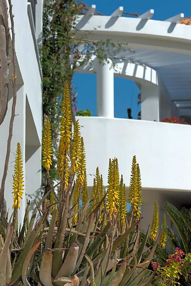 Bitzaro Grande Hotel & Suites