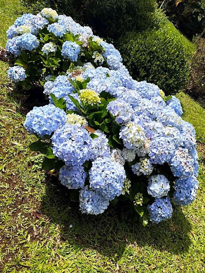 Linda casa em Mury,com riacho e lareira
