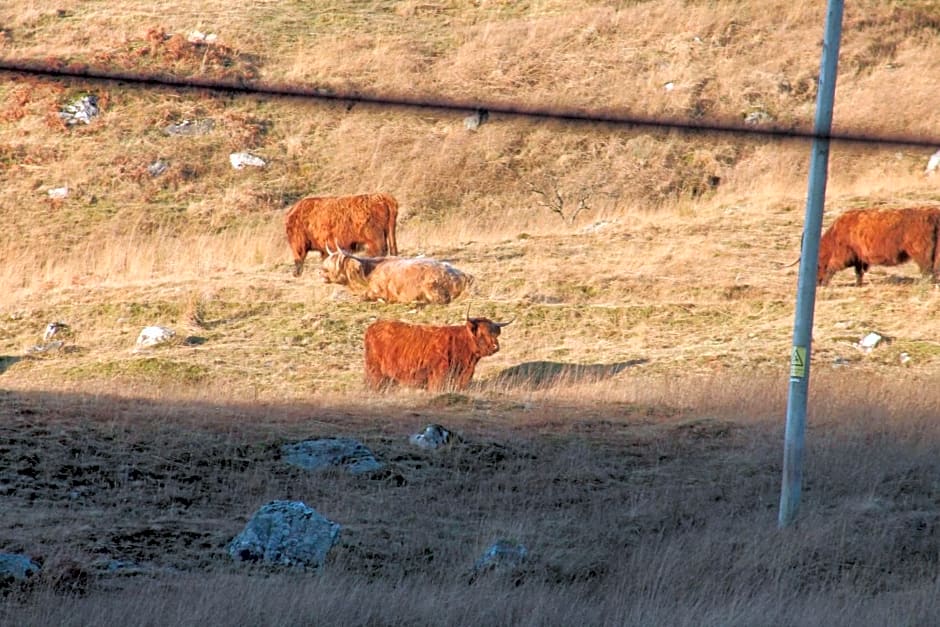 Loch Arklet House