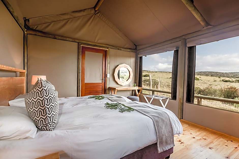 Hlosi Game Lodge - Amakhala Game Reserve