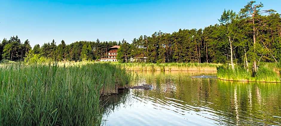 Hotel Waldsee