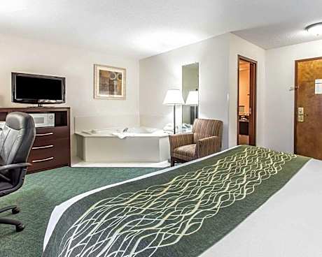 1 King Bed with Whirlpool Tub, No Smoking