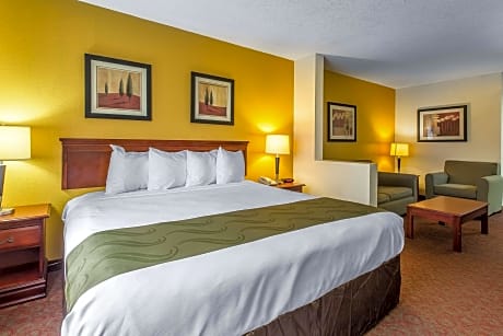 1 King Bed, Nonsmoking, Accessible