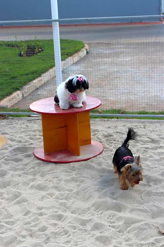 Ibis Styles Rio Preto Monte Libano