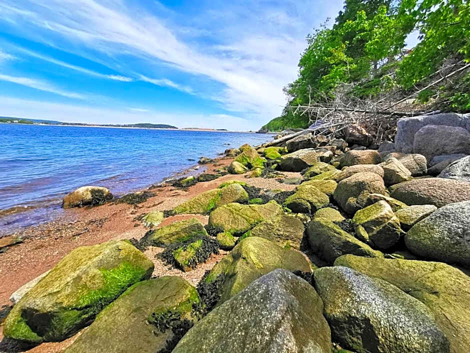 Knotty Pine Ocean Front Suite - Adults Only