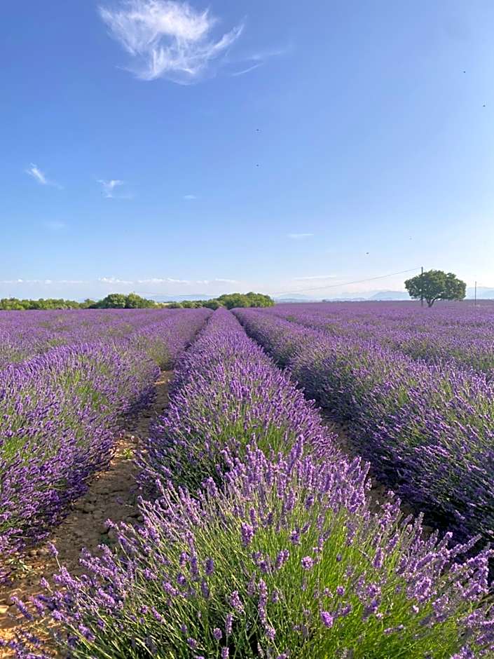 La Bastide Saint Georges & Spa
