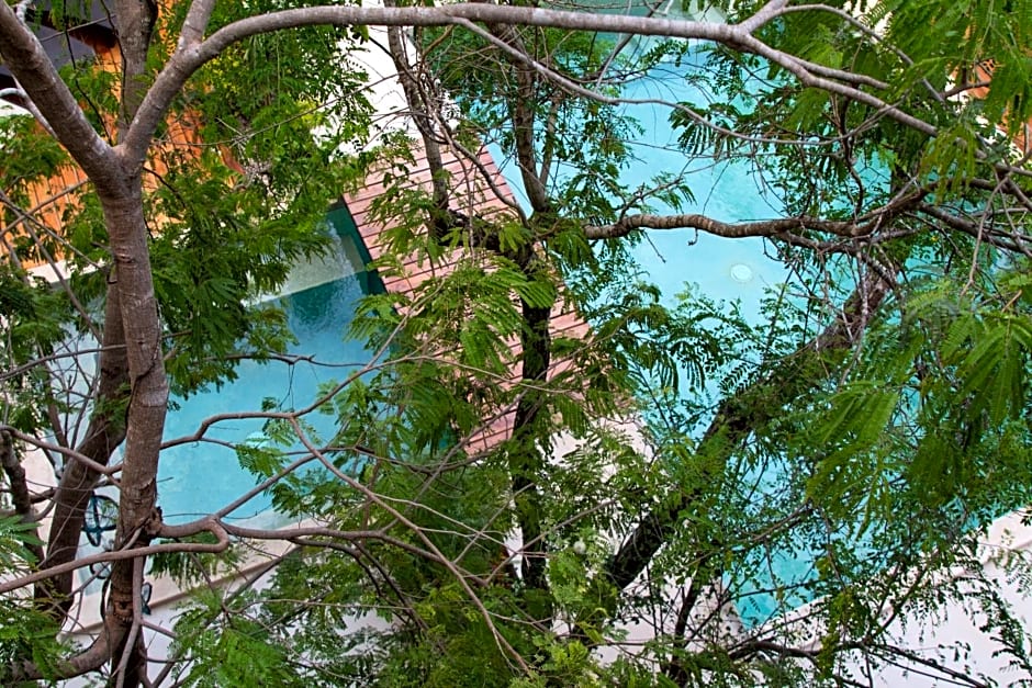 Little Gem Hotel Tulum La Veleta